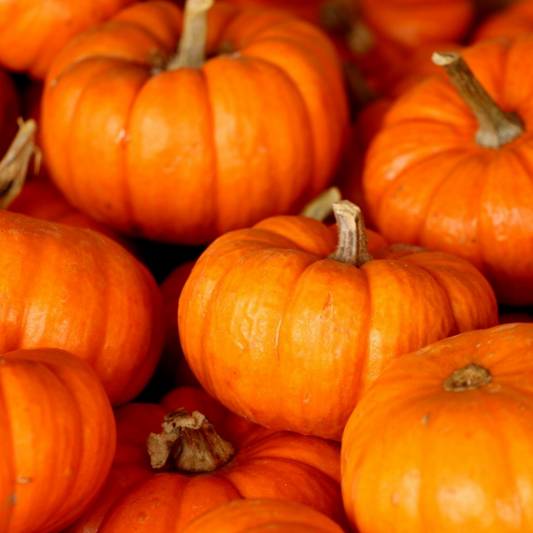 Discover Our BBQ Roasted Pumpkin Recipe